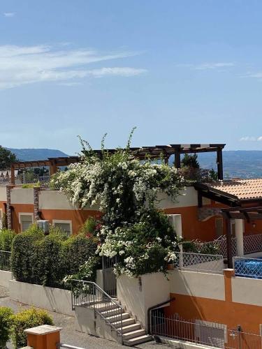  casa norvegese, Pension in Pizzo