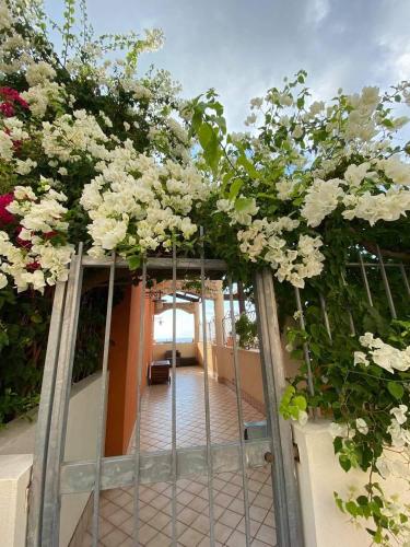  casa norvegese in Pizzo