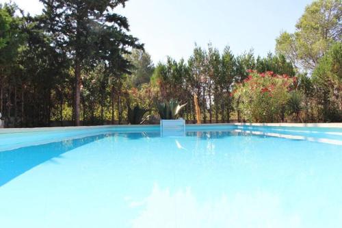 Villa Alomar Villa Alomar