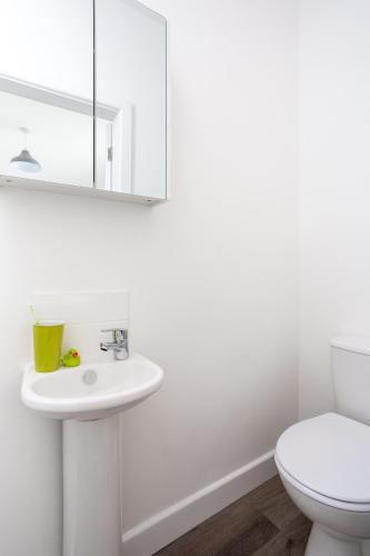 Whole house in centre of Town Ideal for Contractors and Professionals