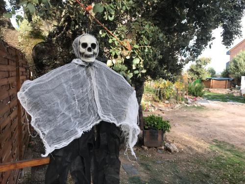 Cabaña en la naturaleza