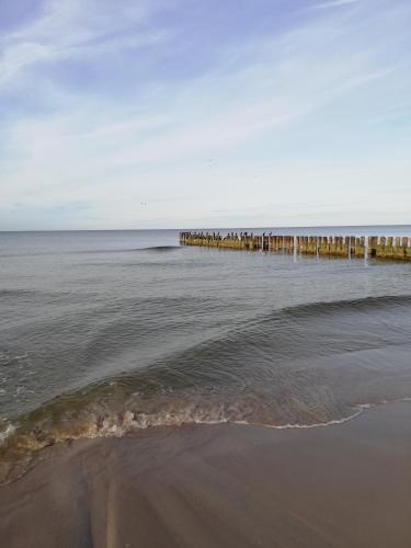 Shellter Apartament Nadmorski