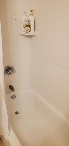 Lovely 2br Rental Unit Lovely 2br Rental Unit