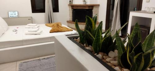 Oasi, Kato Loutraki (foto 6)