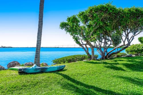 Palm Breeze in 杜科基