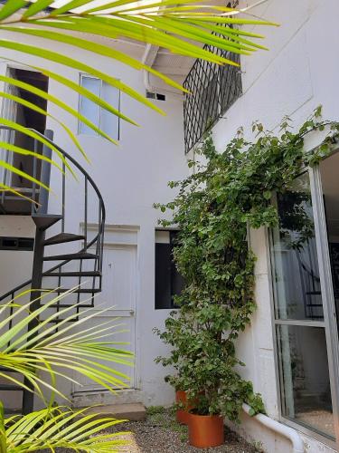 Cloud9 Hostel – Medellin, VT