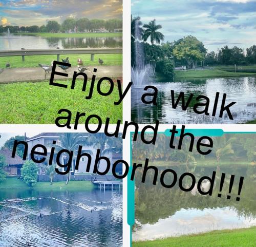 Great Deal! - image 4