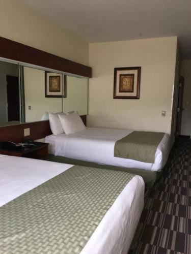Microtel Inn & Suites by Wyndham Indianapolis Airport, Indianapolis (fotografie 9)