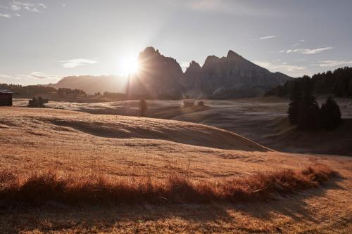 Lamondis, Castelrotto (foto 8)