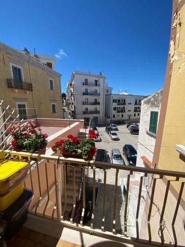 6 Civico d arte Gargano home