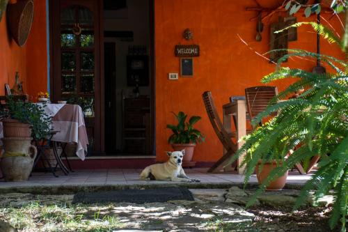 B&B La Noria chambre d'hôte Villasor