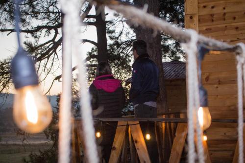 Wooden Inn - Cabañas Boutique y Bubble Glamping en Creel