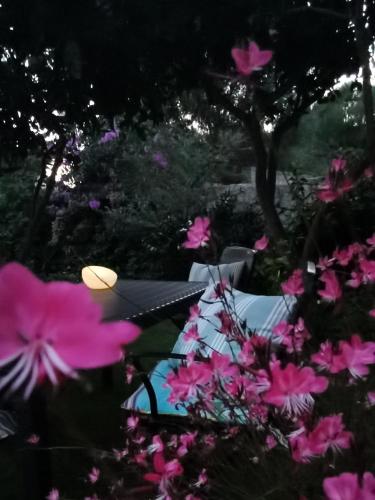 Il giardino di Tatiana - image 8