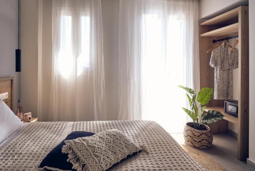 Cactus Hotel