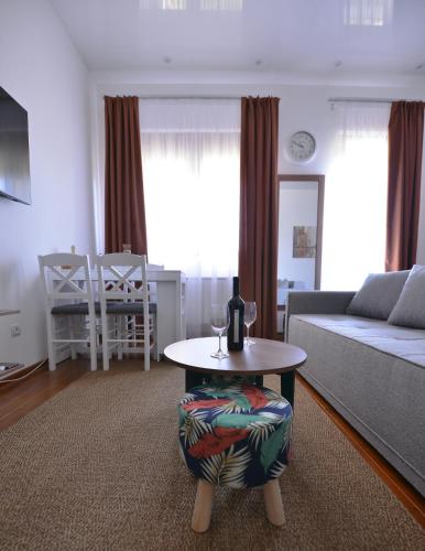 Lux Pegaz 008, Vrnjačka Banja (foto 7)