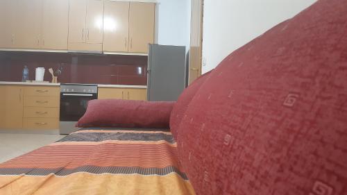 Home Sweet Home 3 - Guest House, Tirana (photo 11)