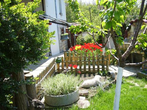 Guest House PETROVA - image 7