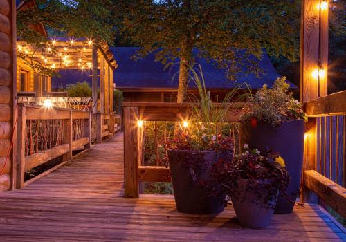 Mount Mitchell Eco Retreat in Busick, USA