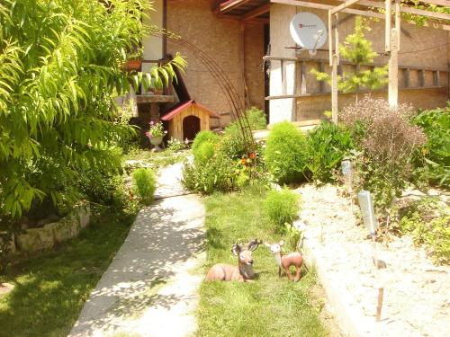 Guest House PETROVA - image 5