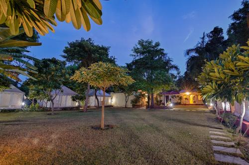 ทัศนียภาพ, RANTHAMBORE TIGER RESORT in รันทัมบอร์