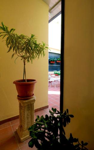 Le stanze di Bianca, Palermo (fotografie 8)