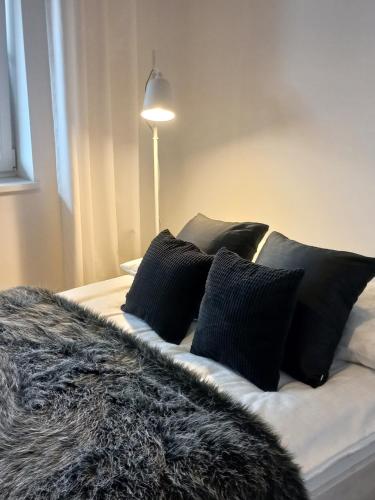 . Apartament - malowniczy Augustów