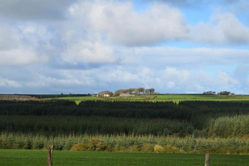 ทัศนียภาพ, Marsland Cottage in กลางเมืองไบด์ฟอร์ด