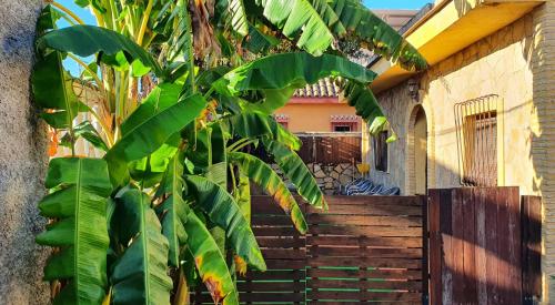  Girasoles, Pension in Sanlúcar de Barrameda