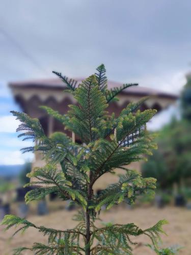 Farmers Farm & Farm Stay