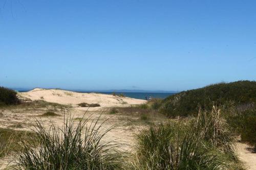 La del Pino in La Pedrera
