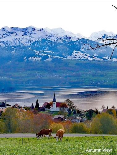 Panoramic Lake Thun & Alps View Apartment near Interlaken in Sigriswil, Schweiz