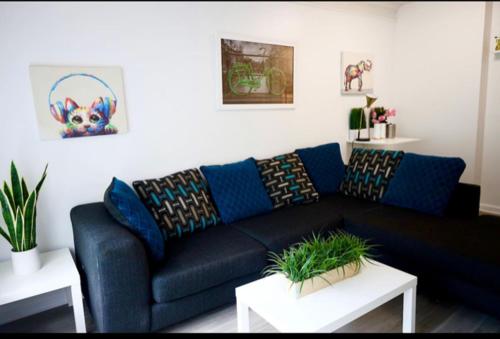 cozy Dunwoody apartment