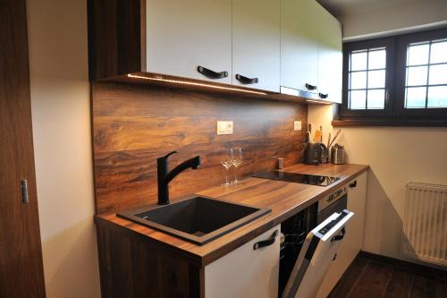 Apartmány U Fibichů (Apartmany U Fibichu) in Svitavy