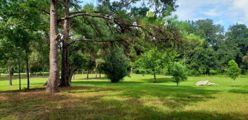 Kert, Little Ridge Ranch-East House Quiet Country Getaway-Pet Friendly! in Micanopy (FL)