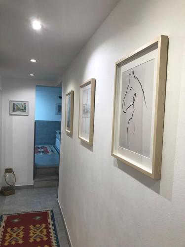 La Casetta Paternò “Nel Cuore Pulsante di Palermo”, Palermo (fotografie 7)