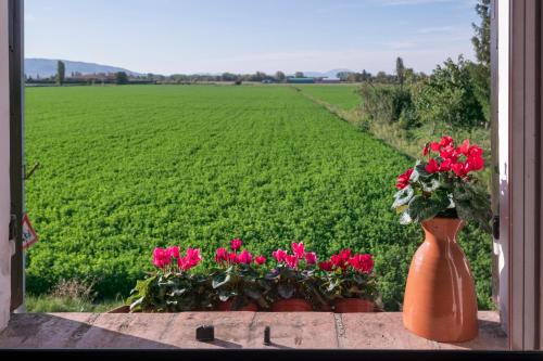 La Casa di Smilla - (Bevagna)