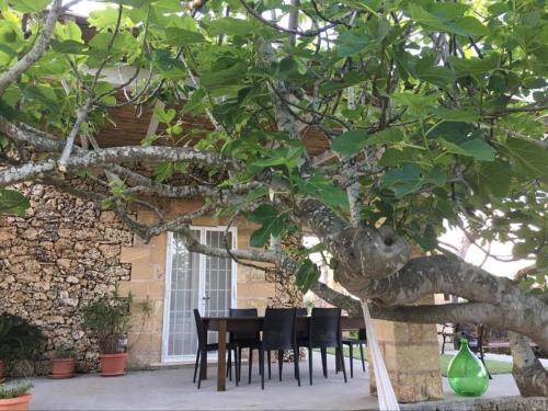 Antichi trulli dell'800 in stile moderno