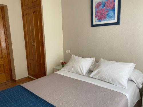 Hostal Moscatel, Malaga (foto 11)
