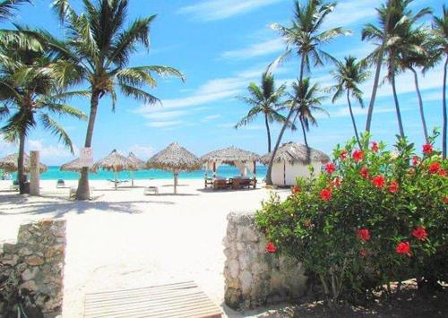 The Paradise Punta Cana