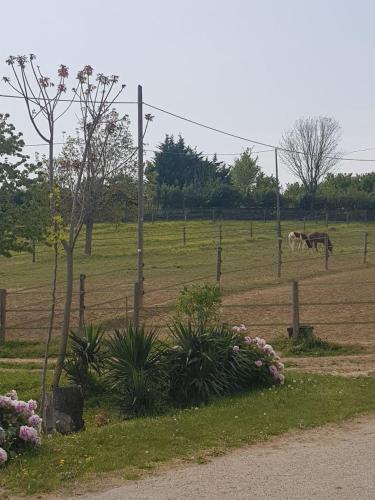 Azienda Agricola Cascina Monticone