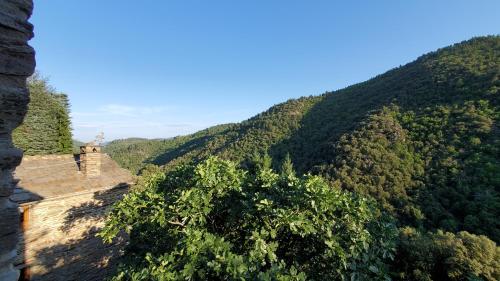 Gîte de Combelebouze en Cévennes - Cosy, Confort et Climatisé - 3 étoiles