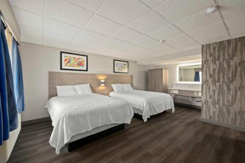 The Elmwood - image 3