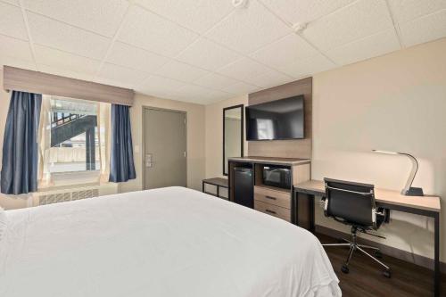 The Elmwood - image 14