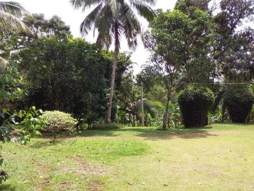Midland Hotel Rooms Kanampella in أخرى