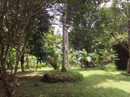 Midland Hotel Rooms Kanampella in أخرى