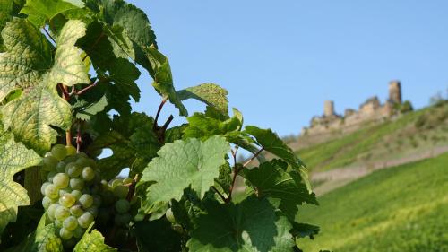 Zum Bachhexje in Alken