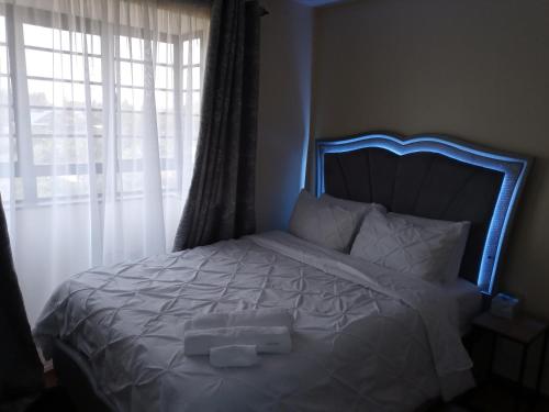 KITSURU PENT HOUSE