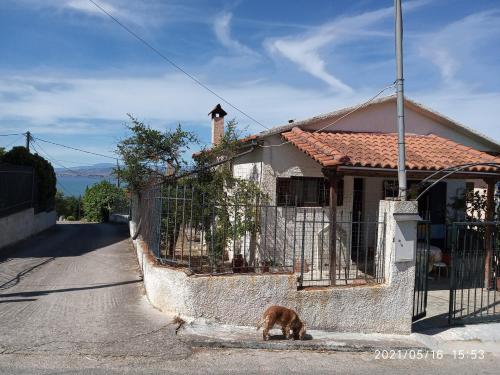 Sea view Dilesi