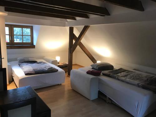 Franzi‘s-Ferien-Freizeit in Peissenberg