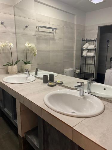 Connect Studios & Apartments, Atény (fotografie 7)